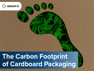 cardboard footprint blog article image