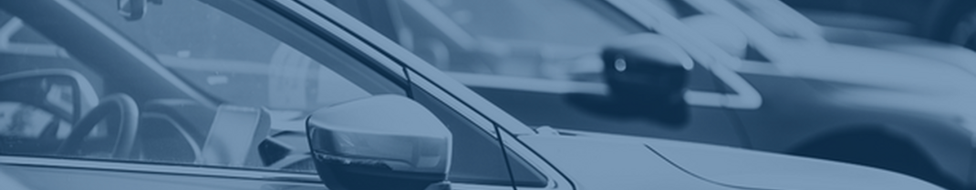 Automotive Dealer Incentive Program Case Study