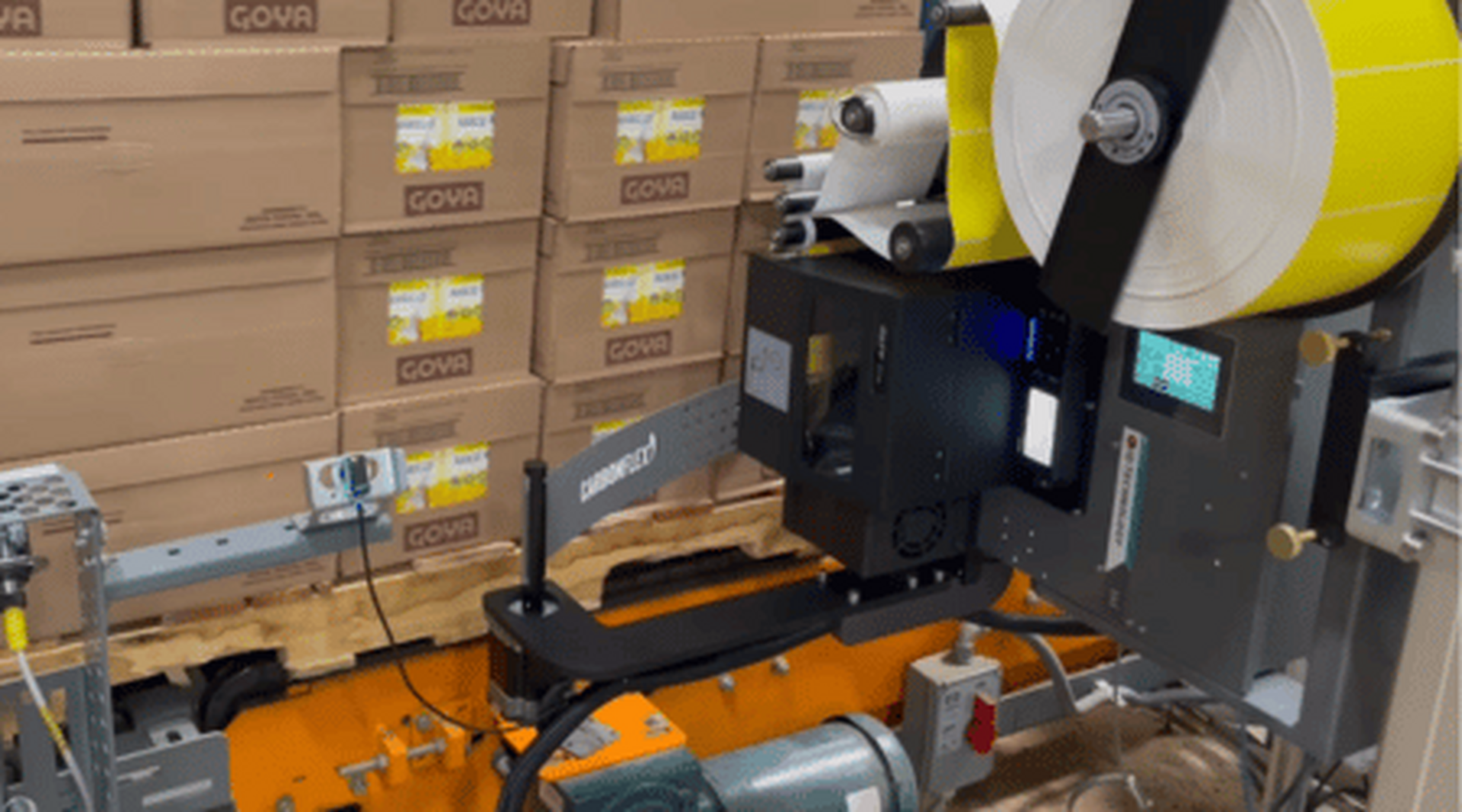 Labeling and Coding